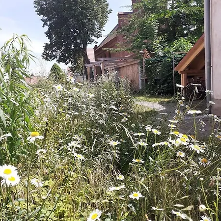 Martinsblick